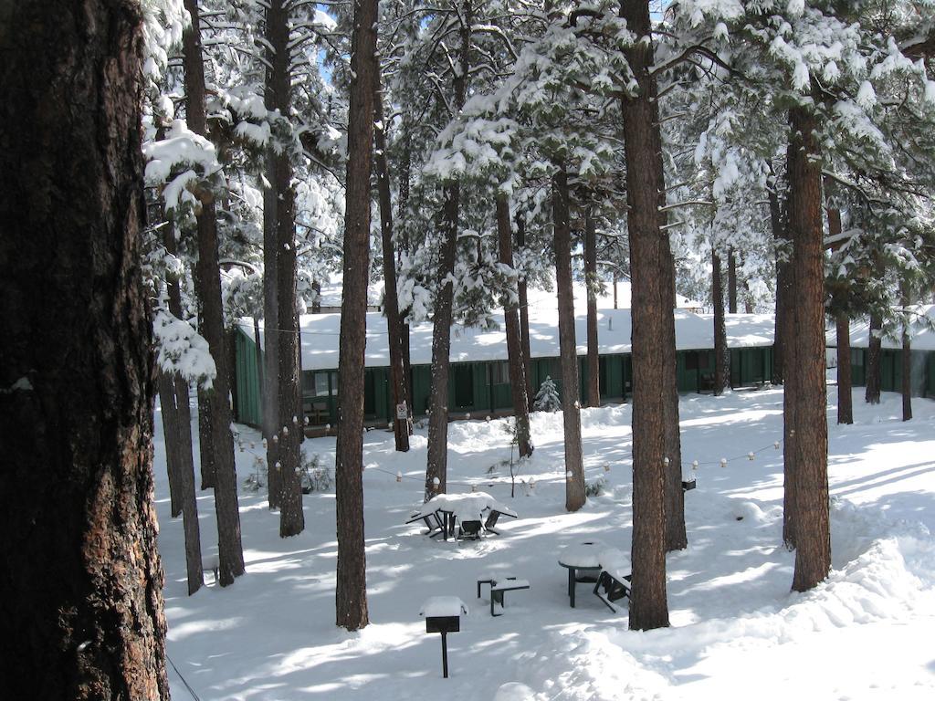 Timberlodge Inn Pinetop-Lakeside Oda fotoğraf